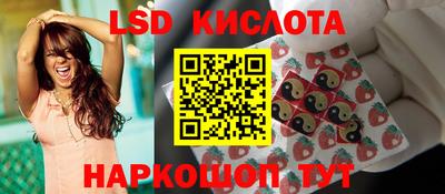 крисы Гагарин