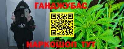 крисы Гагарин