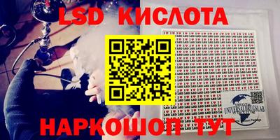 крисы Гагарин