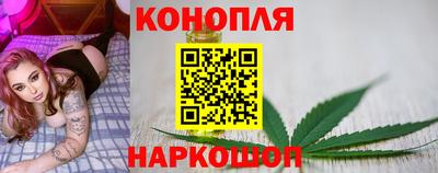 бошки Гатчина