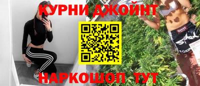бошки Гатчина