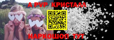 крисы Гагарин