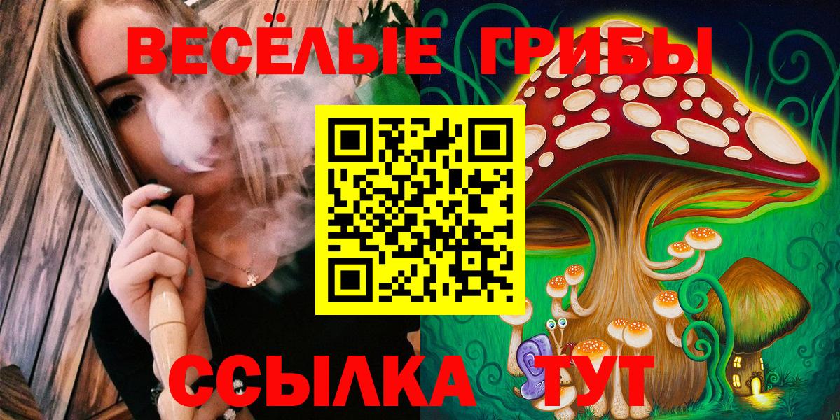 Галлюциногенные грибы Psilocybine cubensis  Вход с VPN  Долгопрудный 